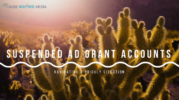Suspended Ad Grants: Navigating A Prickly Situation