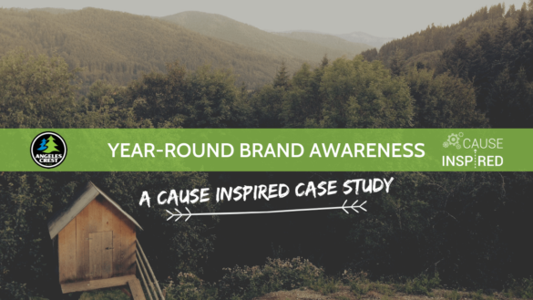 year-round brand awareness a cause inspired case study